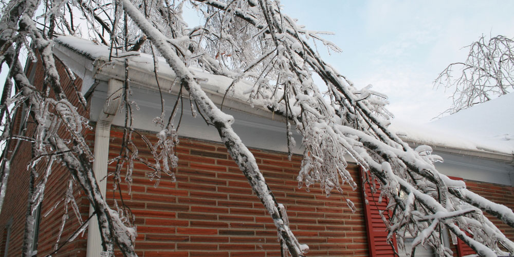 Snow & Ice Damage
